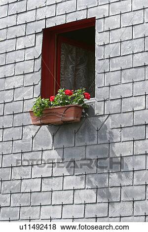 Stock Photo - Blooms, Blossoms, Brick, Brickwall, Building Exterior. Fotosearch