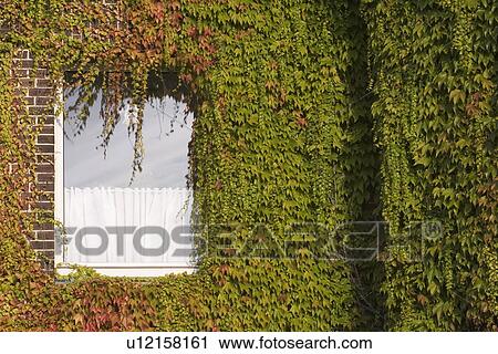 Stock Image - Brick Wall, Building, Building Exterior, Building Structure, Cabin. Fotosearch