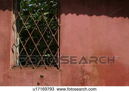 Stock Image - plant, plant life, flora, growth, green, environment. Fotosearch