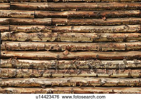 Stock Photograph - woods, shadow, construction, construct, building, order. Fotosearch
