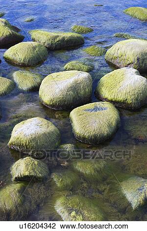 Stock Image - Day, Sea, Ocean. Fotosearch