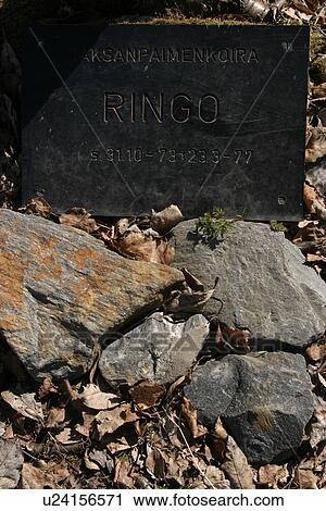 tombstone, tomb, headstone, gravestone, grave, graveyard View Large Photo Image Stock Image - tombstone, tomb, headstone, gravestone, grave, graveyard. Fotosearch