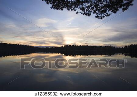 Blue, Branch, Cloud, Dusk, Glow View Large Photo Image Stock Image - Blue, Branch, Cloud, Dusk, Glow. Fotosearch