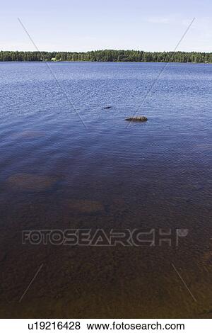 Stock Photo - Day, Outdoors. Fotosearch