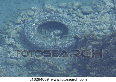 Stock Photo - Automobile, Condition, Component, Close-Up, Auto Part. Fotosearch