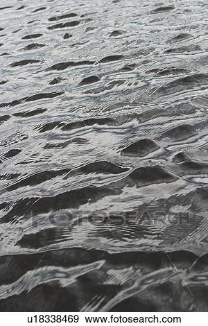 Stock Photo - Calm, Close-Up, Day, Glistening. Fotosearch