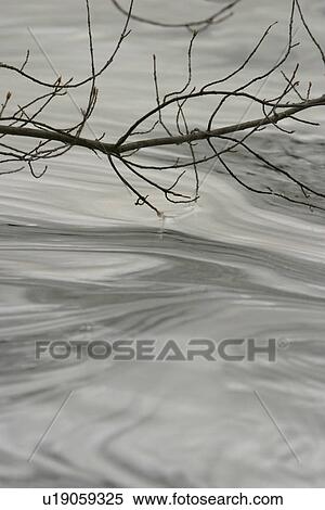 nature, ripples, close-up, placid, serene, peace View Large Photo Image Stock Photography - nature, ripples, close-up, placid, serene, peace. Fotosearch