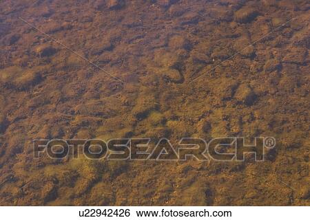 Stock Photograph - Outdoors, Appearance, Surface. Fotosearch