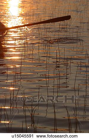 Stock Image - wooden, outdoor, leisure, lake, recreation, row. Fotosearch