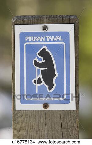 bear, blue, advice View Large Photo Image Picture - bear, blue, advice. Fotosearch