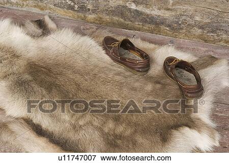 Stock Photo - Animal Skin, Fur, Day, Close-Up, Animal Hair. Fotosearch
