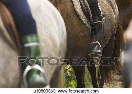 Stock Image - Boots, Brown, Day, Horse. Fotosearch
