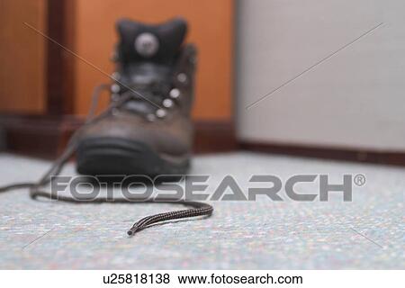 shoe, laces, brown, boots, boot laces View Large Photo Image Stock Photo - shoe, laces, brown, boots, boot laces. Fotosearch