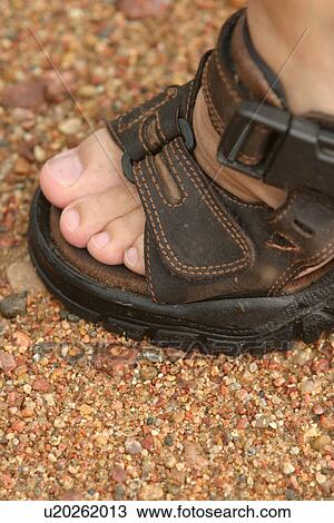 slippers, leisure, shoes, footgear, footwear, outdoor View Large Photo Image Stock Image - slippers, leisure, shoes, footgear, footwear, outdoor. Fotosearch