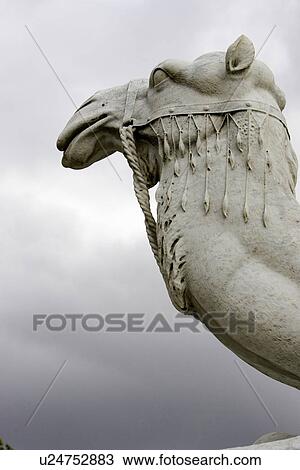 Animal Neck, Decorative, Close-Up, Camel, Animal Head View Large Photo Image Stock Image - Animal Neck, Decorative, Close-Up, Camel, Animal Head. Fotosearch