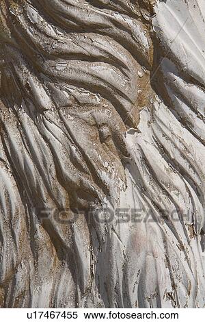 Stock Photography - Carving, Close-Up, Day, Extreme Close-Up. Fotosearch