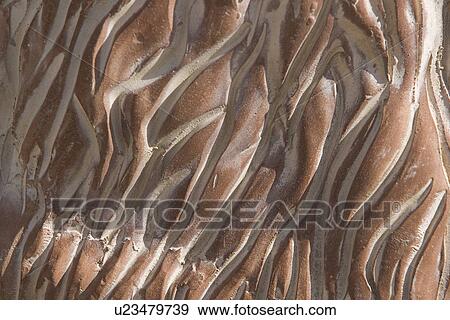 Close-Up, Day, Full Frame View Large Photo Image Stock Photo - Close-Up, Day, Full Frame. Fotosearch