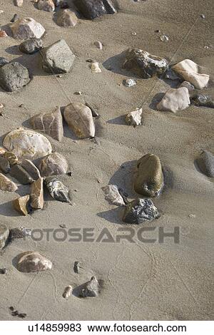 Stock Image - Beach, Close-Up, Embedded. Fotosearch