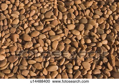beige, brown View Large Photo Image Stock Image - beige, brown. Fotosearch