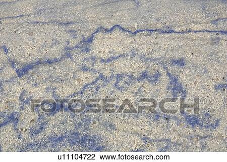 Stock Image - Blue, Decor, Close-Up, Appearance. Fotosearch