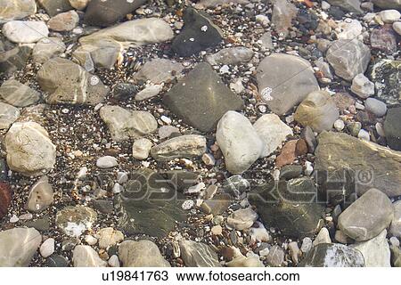 Stock Image - Close-Up, Day, Embedded, Full Frame, Ground. Fotosearch