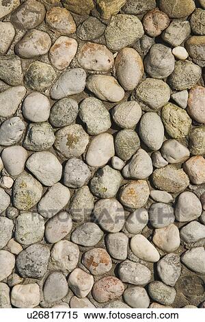 Stock Photography - Close-Up, Embedded, Full Frame, Outdoors. Fotosearch