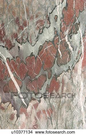 detail, geology, metamorphic, rock, mottled, rough View Large Photo Image Picture - detail, geology, metamorphic, rock, mottled, rough. Fotosearch