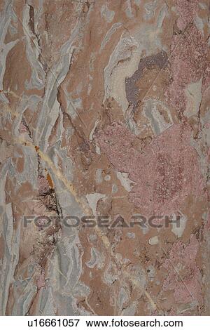 Stock Photo - detail, geology, metamorphic, rock, mottled, rough. Fotosearch