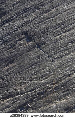 Detail, Geology View Large Photo Image Stock Photo - Detail, Geology. Fotosearch