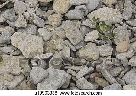 Large Group Of Objects, Riverside View Large Photo Image Stock Photo - Large Group Of Objects, Riverside. Fotosearch