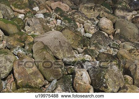 Stock Photo - rock, stone, rocky, hard, uneven, seabed. Fotosearch