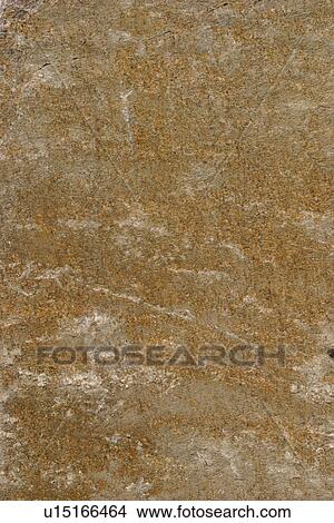 Picture - texture, surface, stone, rock, slab, appearance. Fotosearch