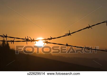 barbed wire barrier