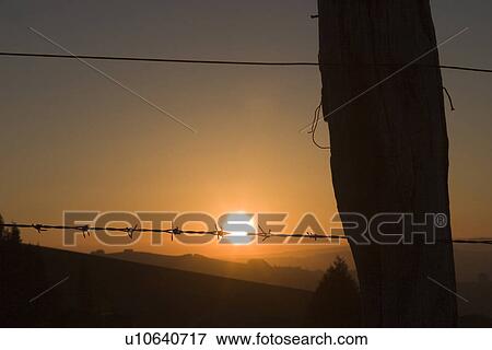 Stock Photo - barbed wire, barricade, barrier. Fotosearch