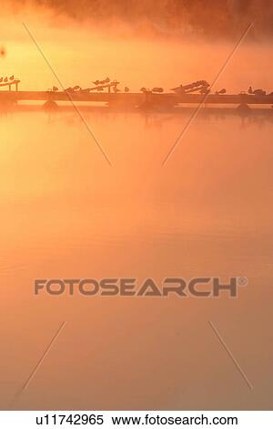 natural, seasonal, scenic, calm, serene, placid View Large Photo Image Stock Photography - natural, seasonal, scenic, calm, serene, placid. Fotosearch