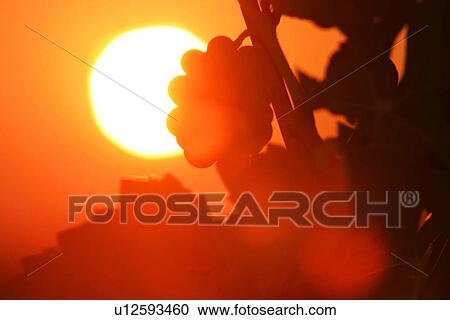 Stock Image - outdoor, nature, natural, environment, climate, peaceful. Fotosearch