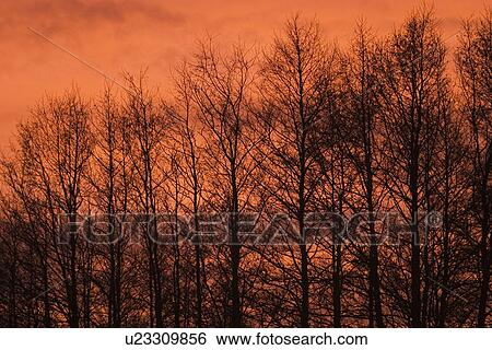 Stock Photograph - sky, sunset, dusk, dawn, sunrise, dark. Fotosearch