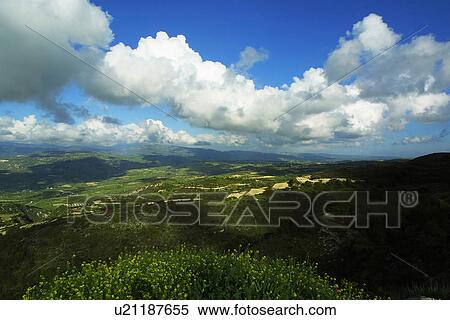 Stock Photography - forest, aerial view, landscape, view, vista, aerial. Fotosearch