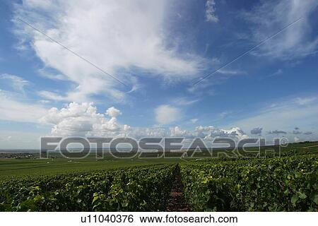 Stock Photograph - outdoor, nature, natural, environment, beauty, climate. Fotosearch