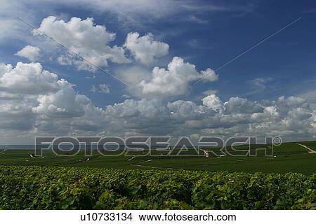 Picture - outdoors, natural, environment, beauty, climate, condition. Fotosearch