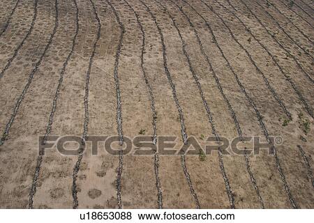 agriculture, array, aerial view View Large Photo Image Stock Photo - agriculture, array, aerial view. Fotosearch