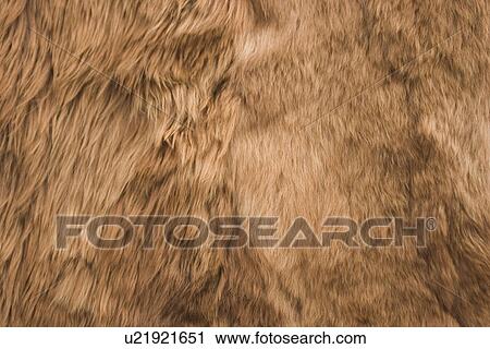 Stock Image - arrangement, brown, background, appearance. Fotosearch