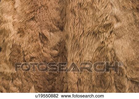 Stock Image - arrangement, close-up, background, appearance. Fotosearch