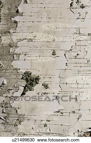 Stock Image - Chipped Off, Close-Up. Fotosearch