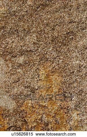 Stock Photography - cracks, old, cracked, tree, tree bark, bark. Fotosearch