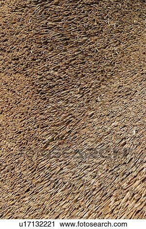 Stock Image - detail, palm, protection, structure, hay, constructed. Fotosearch