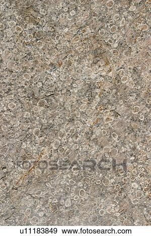 Stock Photo - masonry, wall, pattern, texture, earth tones, close-up. Fotosearch