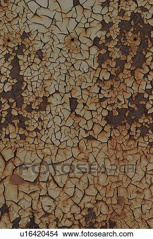 texture, background, tree, bark, outdoors, wood View Large Photo Image Picture - texture, background, tree, bark, outdoors, wood. Fotosearch