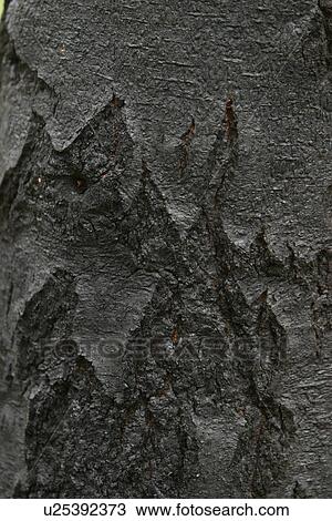 texture, outdoors, appearance, surface, tactile, uneven View Large Photo Image Stock Image - texture, outdoors, appearance, surface, tactile, uneven. Fotosearch