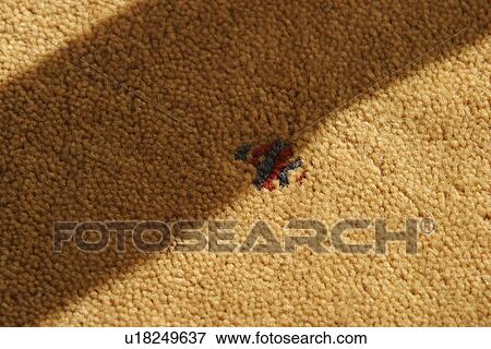 Stock Photo - arrangement, art, appearance. Fotosearch